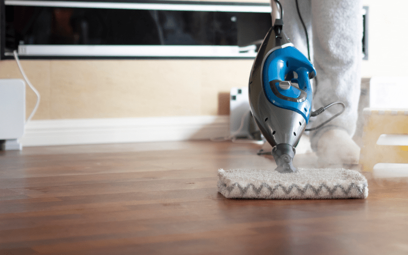 Steam Mop